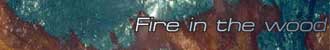Fire in the wood mp3